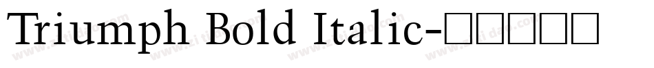 Triumph Bold Italic字体转换